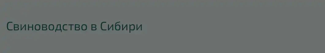 Свиноводство в Сибири
